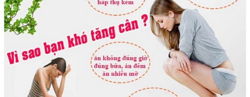 Bí Quyết Tăng Cân Tự Nhiên Hiệu Quả Cho Người Gầy