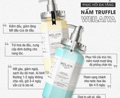 Bộ dầu gội phục hồi đa tầng Nấm Truffle Weilaiya 450ml
